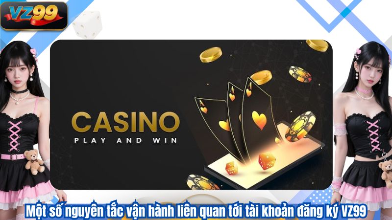 ĐĂNG KÝ 3 Một số nguyên tắc vận hành liên quan tới tài khoản đăng ký VZ99